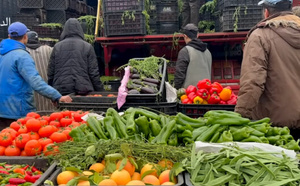 الارتفاع‭ ‬الصاروخي‭ ‬لأسعار‭ ‬الخضر‭ ‬مستمر‭ ‬في‭ ‬الأسواق‭ ‬المغربية‭ ‬