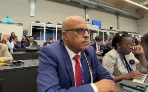 العثماني يمثل الحركة التعاضدية المغربية في أشغال دورة دولية بجنيف حول الحكامة والابتكار المؤسسي