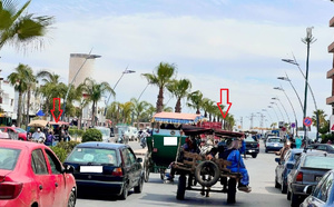 نمو مطرد لظاهرة النقل السري في سيدي بنور