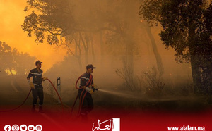الأمن الغابوي في عين العاصفة المناخية.. حريق «ملوسة» يستنفر الخطط الاستباقية للمملكة