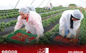 السكوري: ارتفاع عدد العاملات المغربيات في الضيعات الإسبانية إلى أكثر من 15 ألفا سنويا