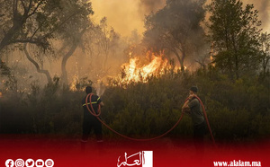 بعدما التهمت آلاف الهكتارات.. عودة حرائق الغابات تسائل نجاعة الخطة الوطنية المبكرة