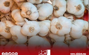 المكتب التنفيذي لفدرالية منتجي الثوم بالمغرب تنوه بقرار وزارتي الفلاحة والصناعة والتجارة