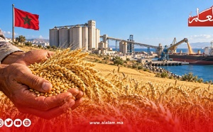 توقعات بانخفاض واردات المغرب من القمح اللين الفرنسي