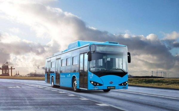 أسطول لحافلات المستقبل صديقة البيئة بالبيضاء