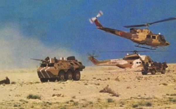 الأسد الإفريقي 21 أكبر مناورة عسكرية بالصحراء بين المغرب والولايات المتحدة