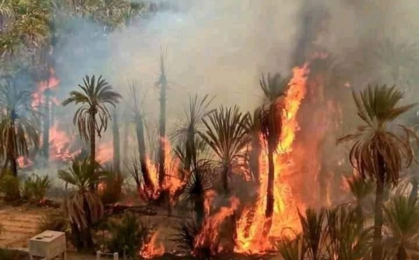المغرب يواجه تهديدات حقيقية جراء التغير المناخي وارتفاع الحرارة