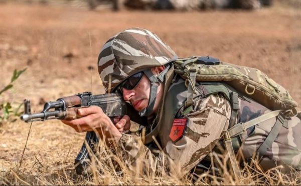الجيش المغربي يضرب بيد من فولاذ التهريب الدولي للمخدرات