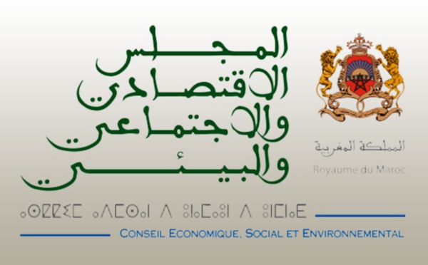 المجلس الاقتصادي والاجتماعي والبيئي  يلقي بحجر في بركة مدونة الأسرة الآسنة