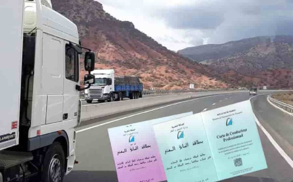 وزارة عبد الجليل تمدد في أجل الحصول على البطاقة المهنية
