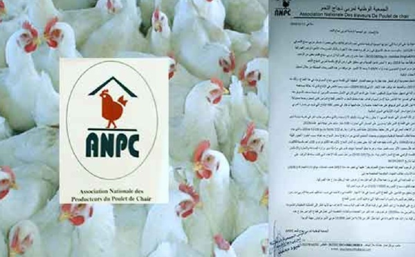 الجمعية الوطنية لمربي دجاج اللحم تناشد وزارة الفلاحة 