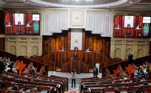 مطالب برلمانية بدعم الفلاحين لتخفيض أثمنة زيت الزيتون