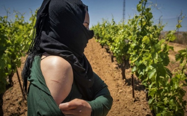 ماذا هيأت السلطات الإسبانية من آليات مراقبة لحماية «نساء الفراولة» من الاستغلال والتحرش؟