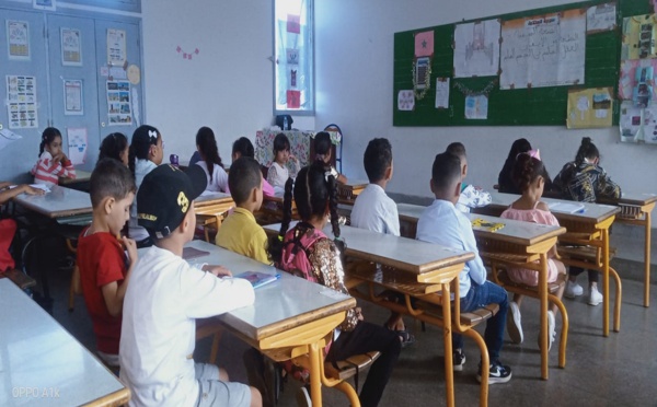هيئة عليا تُعنى بالتربية والتكوين والتعليم تكشف عن أرقام صادمة
