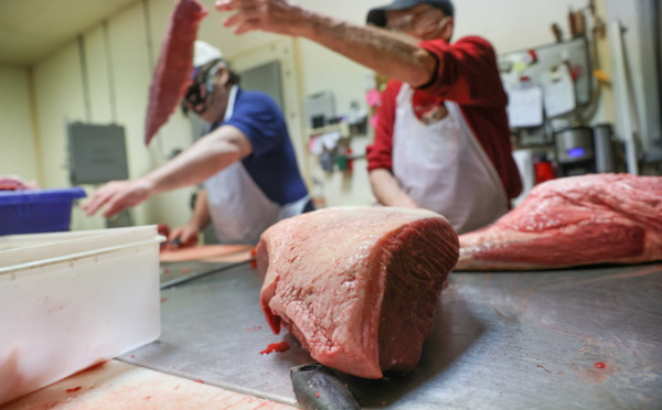 بينها دولة عربية.. دول تحظر استيراد اللحوم البرازيلية