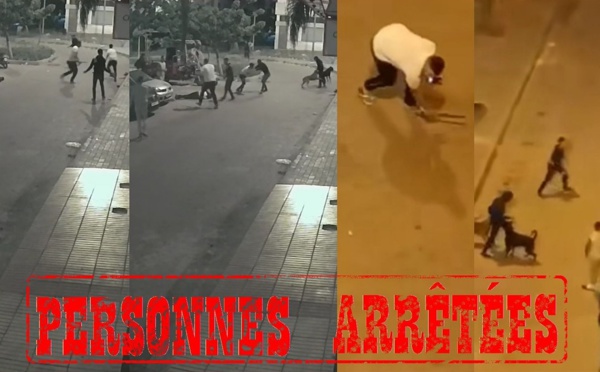 الأمن يتفاعل مع فيديو يظهر فيه أشخاص يتبادلون العنف باستعمال أسلحة بيضاء وكلاب شرسة