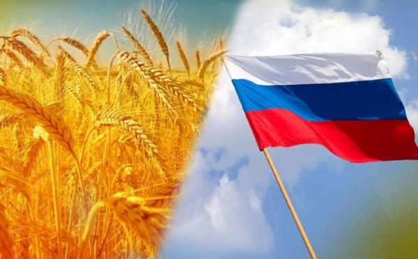 روسيا تُعْرِبُ عن استعدادها لإمداد الدول المحتاجة بالحبوب مجانا