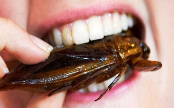 سلطنة عُمان تصدر بياناً تحذيرياً بعد إعلان السعودية وجود حشرات في منتج مصري