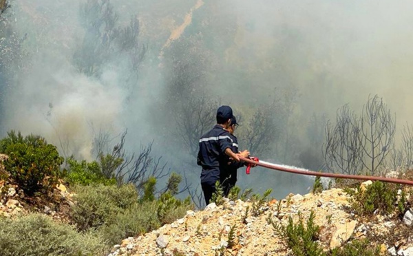 فرق التدخل تسيطر على 85٪ من حريق غابة سبارتيل بطنجة