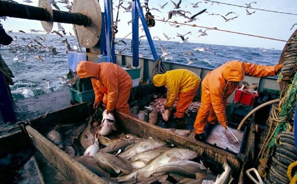 توقف‭ ‬بروتوكول‭ ‬الصيد‭ ‬البحري‭ ‬بين‭ ‬المغرب‭ ‬والاتحاد‭ ‬الأوروبي‭ ‬يعمق‭ ‬عطالة‭ ‬صيادي‭ ‬الأندلس