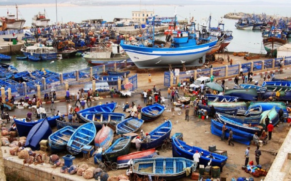 مفرغات الصيد الساحلي والتقليدي تشهد انخفاضاً عند متم غشت 2023