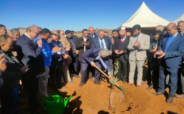 دمنات.. زراعة شجر الخروب في جماعة سيدي يعقوب: وزير الفلاحة يعطي انطلاقة مشروع ضخم ضمن برنامج الفلاحة التضامنية