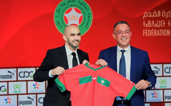 رغم الخروج المفاجئ من "الكان".. الركراكي باق على رأس المنتخب الوطني