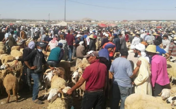 وجدة: "الشناقة" يتحكمون في أسعار السوق وآخرون يحتالون في غياب المراقبة