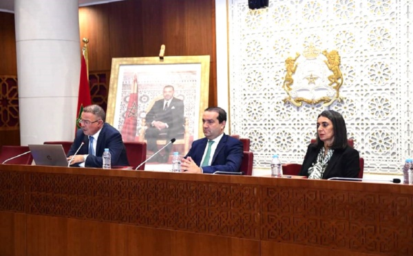 لقجع: إصلاح القانون التنظيمي للمالية سيمكن من ترجمة السياسات التنموية بالمملكة