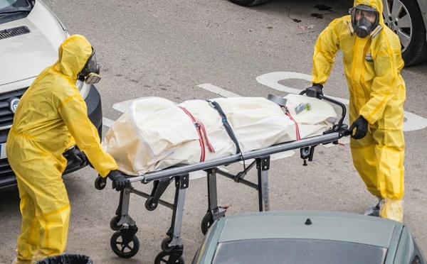 أمريكا تعلن أول وفاة بشرية بسبب إنفلونزا الطيور