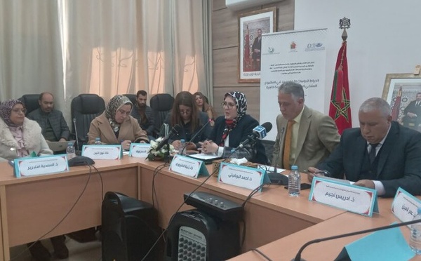 خبراء يدعون إلى اعتماد مقاربة علمية وحبكة قانونية في صياغة مدونة الأسرة