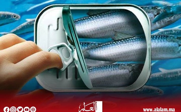 أسعار‭ ‬الأسماك‭  ‬في‭ ‬ارتفاع‭ ‬متواصل‭ ‬وسمك‭ ‬الفقراء‭ ‬بات‭ ‬نادرا‭ ‬في‭ ‬الأسواق