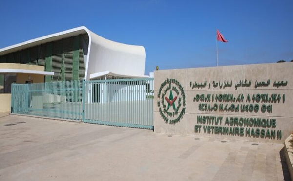 احتجاجا‭ ‬على‭ ‬قرار‭ ‬هدم‭ ‬السكن‭ ‬الداخلي‭ ‬لمعهد‭ ‬الحسن‭ ‬الثاني‭ ‬للزراعة‭ ‬والبيطرة‭:‬