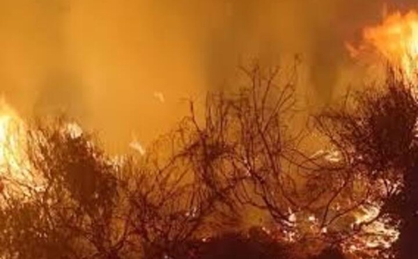 حريق مهول يهز دوار بني بوخلف ويستنفر السلطات بالنكور نواحي الحسيمة
