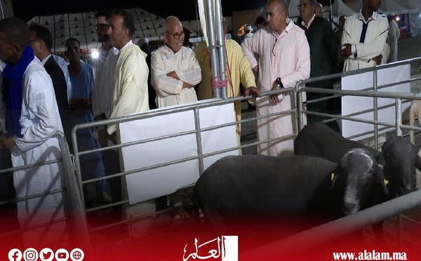 معرض سلالة "الدمان" بآيت ولال بزاكورة.. احتفاء بتراث فلاحي أصيل ودعامة للتنمية المحلية