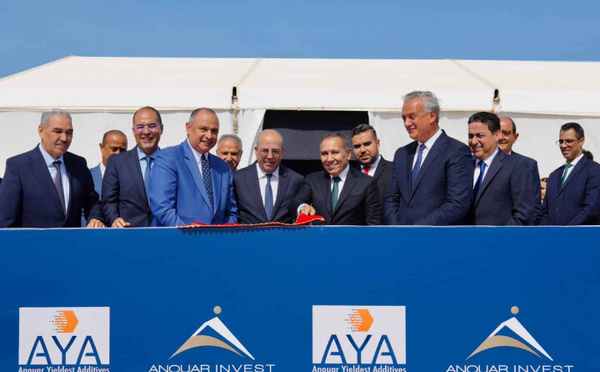 وزراء يؤكدون أن مشروع "AYA" خطوة للمغرب نحو تفعيل استراتيجيته الصناعية وتعزيز سيادته الغذائية