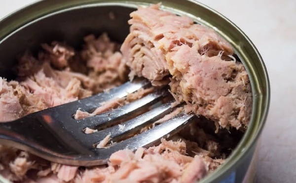 كتامة: وجبة “طون” فاسدة تُرسل خمسة أشخاص إلى مستعجلات مستشفى ترجيست