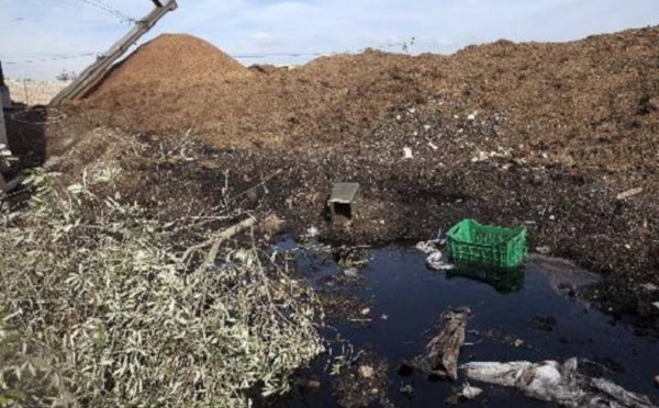 جرائم‭ ‬بيئية‭ ‬ترتكبها‭ ‬معاصر‭ ‬الزيتون‭ ‬تهدد‭ ‬الموارد‭ ‬المائية‭ ‬بالمغرب