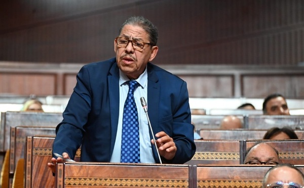 سعيد التدلاوي يندد بغياب التشاور بين وزارة الفلاحة والغرف الفلاحية