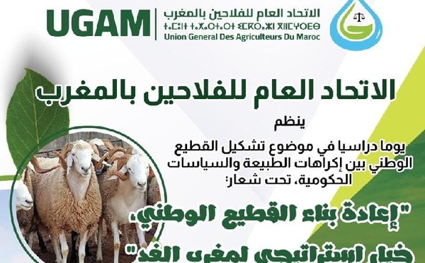 الاتحاد العام للفلاحين يتدارس ملف إعادة تشكيل القطيع الوطني