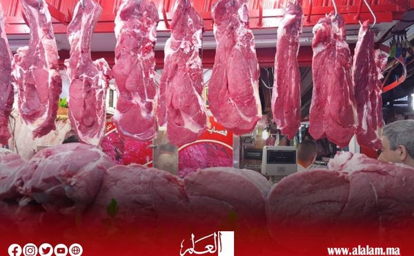 أسعار اللحوم الحمراء تواصل الارتفاع ومهنيون يوضحون..
