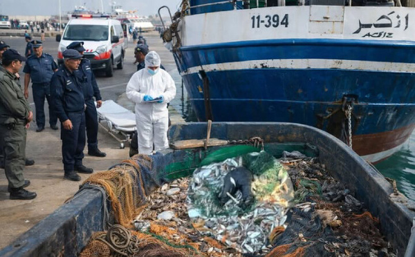 نصف جثة بشرية تدفع مركبا للصيد إلى التوقف عن نشاطه مؤقتا