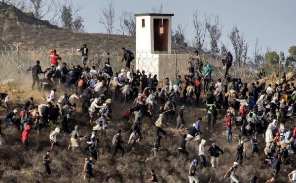 القوات العمومية تجهض محاولة للاقتراب من السياج المحيط بمدينة سبتة المحتلة