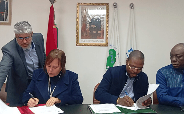 من الرباط إلى كينشاسا: اتفاق تاريخي يضع الكرة الطائرة الإفريقية على طريق العالمية