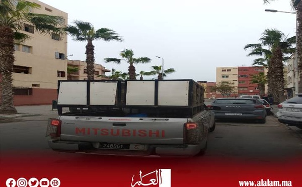 حملة لجمع الكلاب الضالة بأحد أحياء سلا استجابة سريعة وتفاعل إيجابي مع شكايات الساكنة