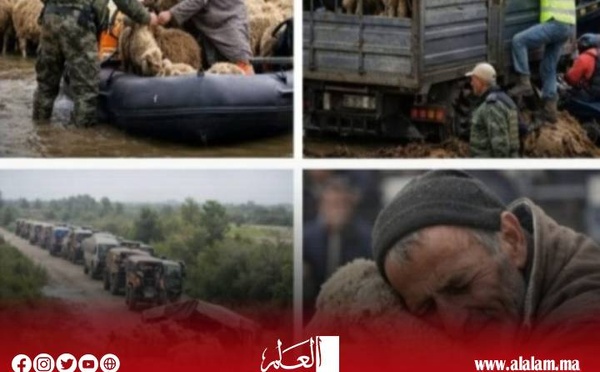 تعبئة شاملة بسهل الغرب لمواجهة فيضانات غير مسبوقة بعد تساقطات قياسية