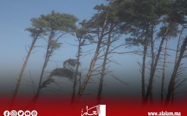 تحذير من رياح قوية وطقس بارد يومي الإثنين والثلاثاء