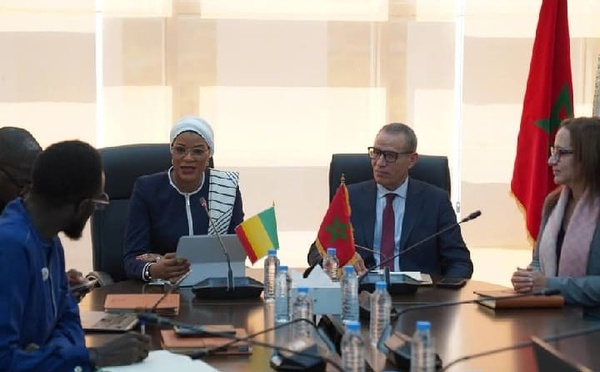 بوشتى المومني رئيس جامعة عبد المالك السعدي بتطوان، يتباحث مع السيدة دياكا سيديبي، وزيرة التعليم العالي والبحث العلمي والابتكار في جمهورية غينيا