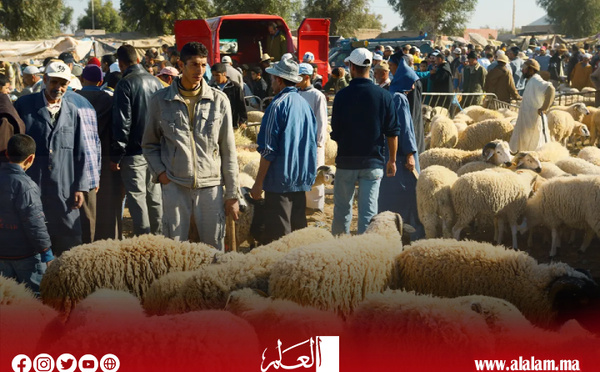 الحكومة تضيق الخناق على الشناقة بتدابير زجرية