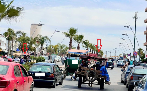 نمو مطرد لظاهرة النقل السري في سيدي بنور
